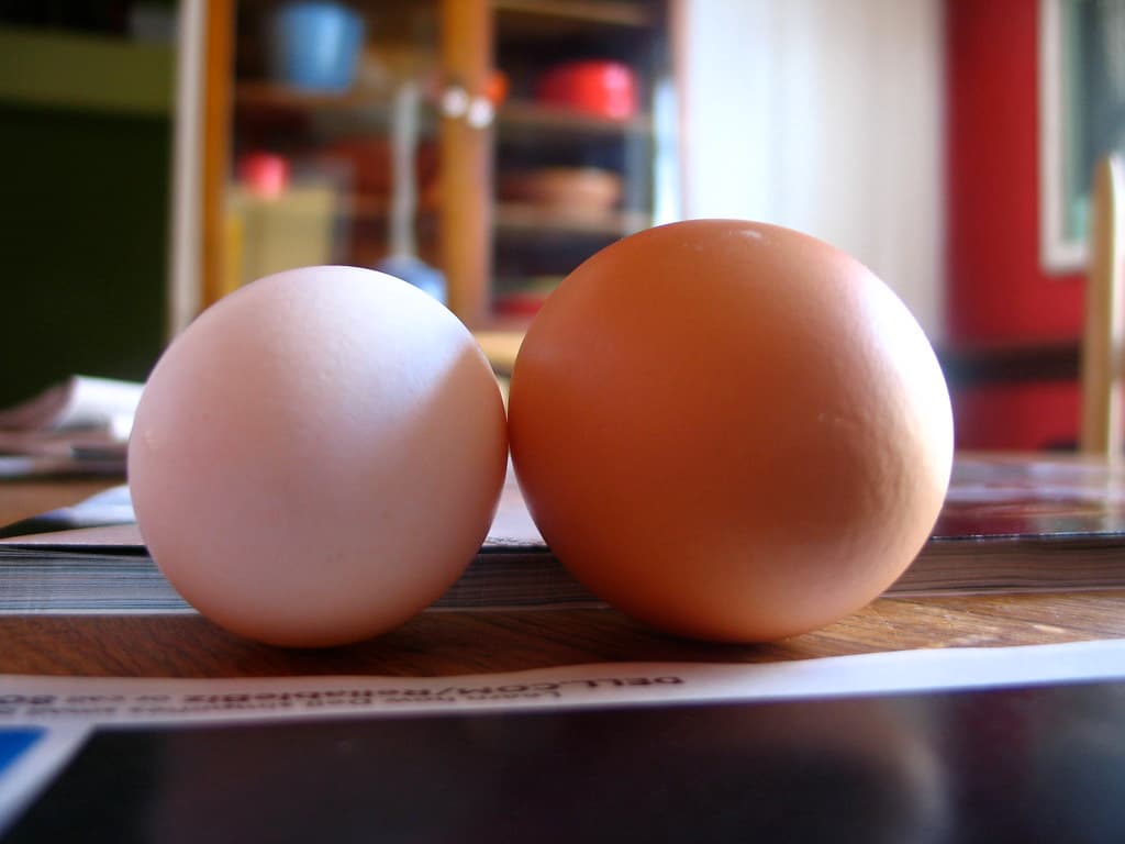 Chicken Eggs Dozen